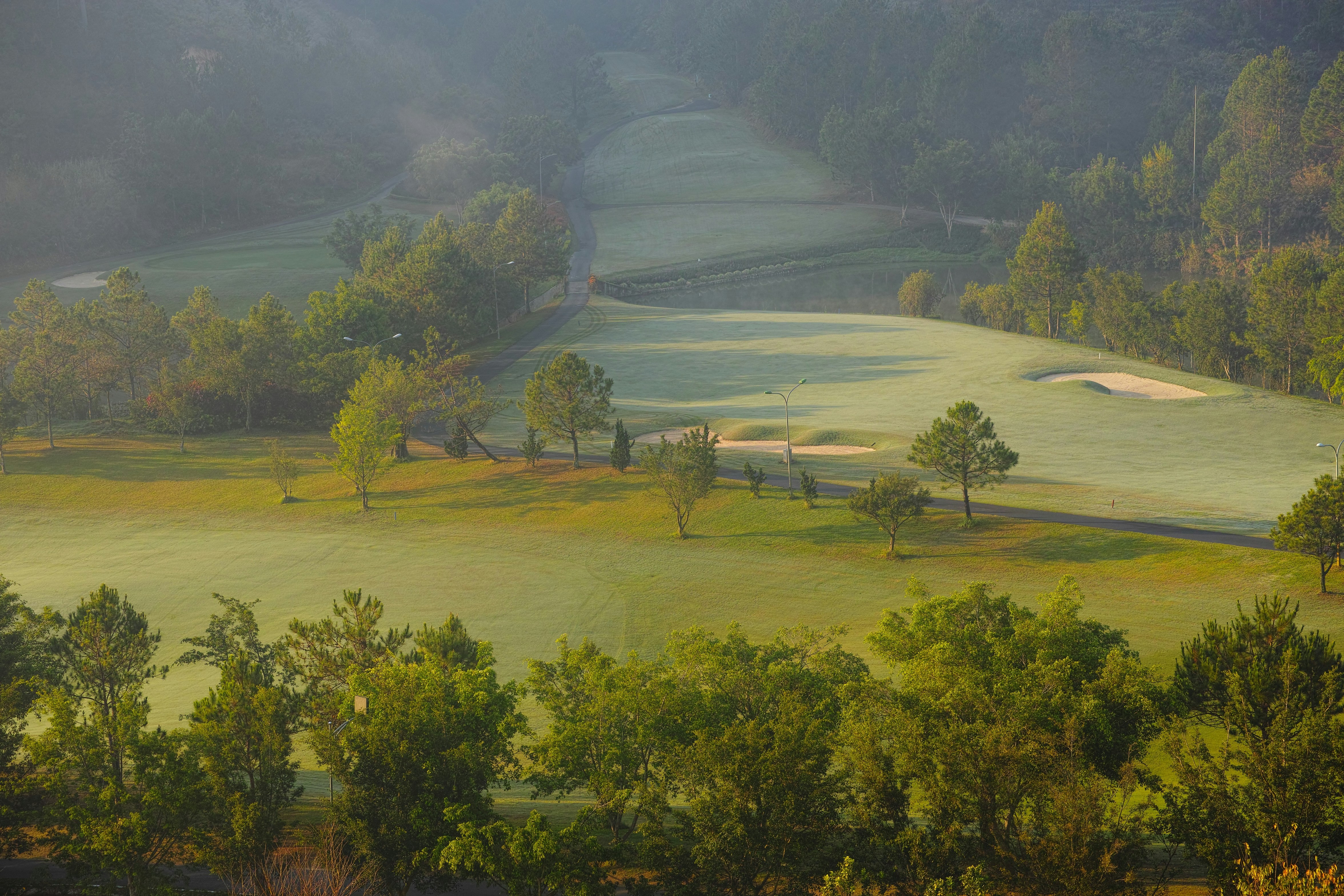 a golf course surrounded by trees and fog