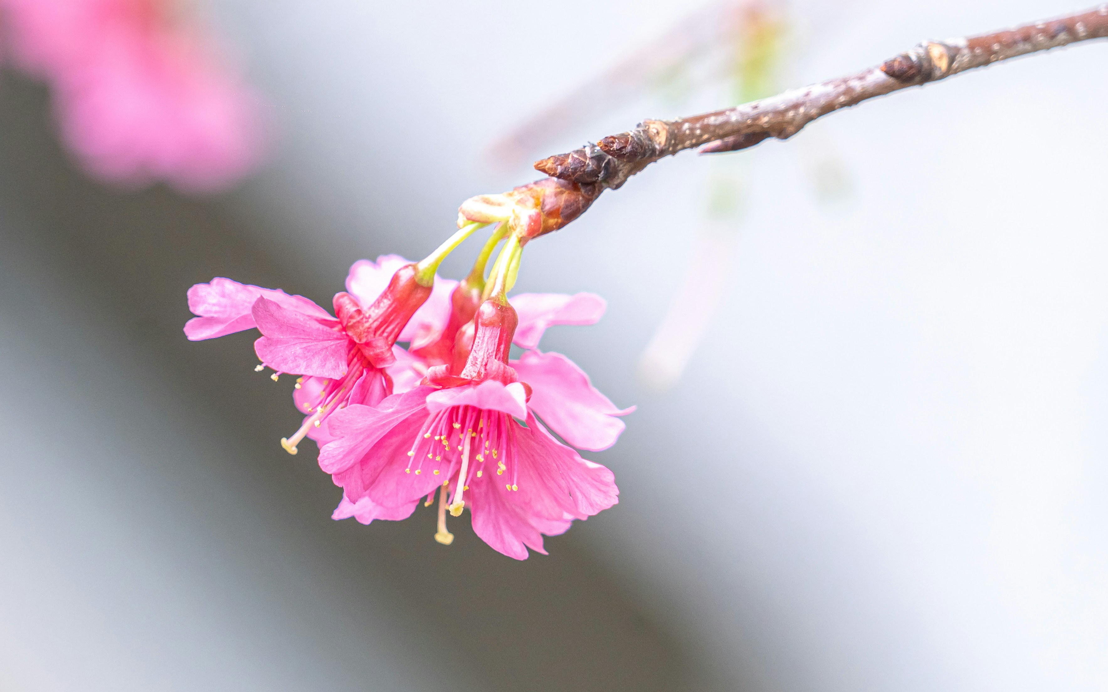 Photo by winstonchen