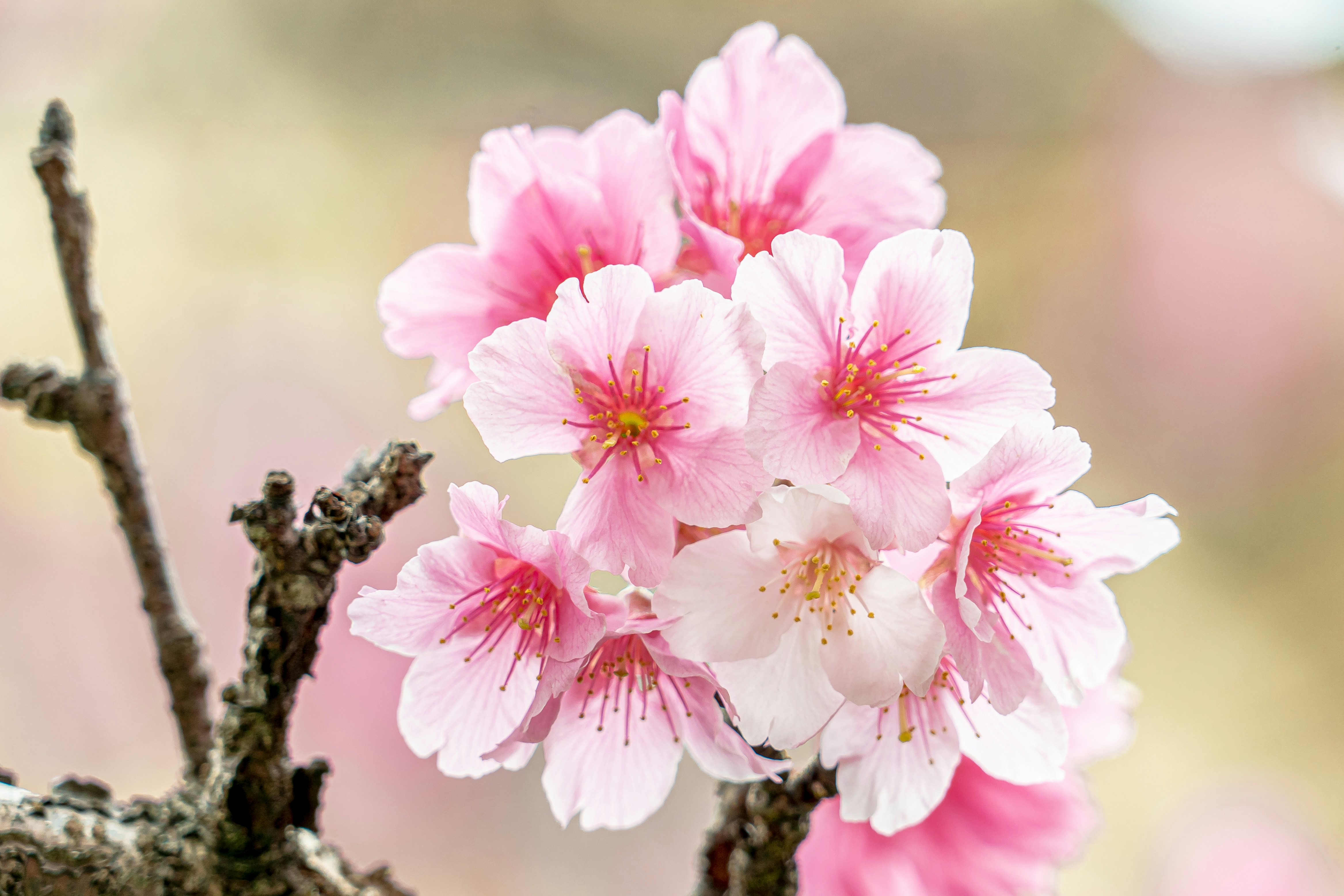 Photo by winstonchen