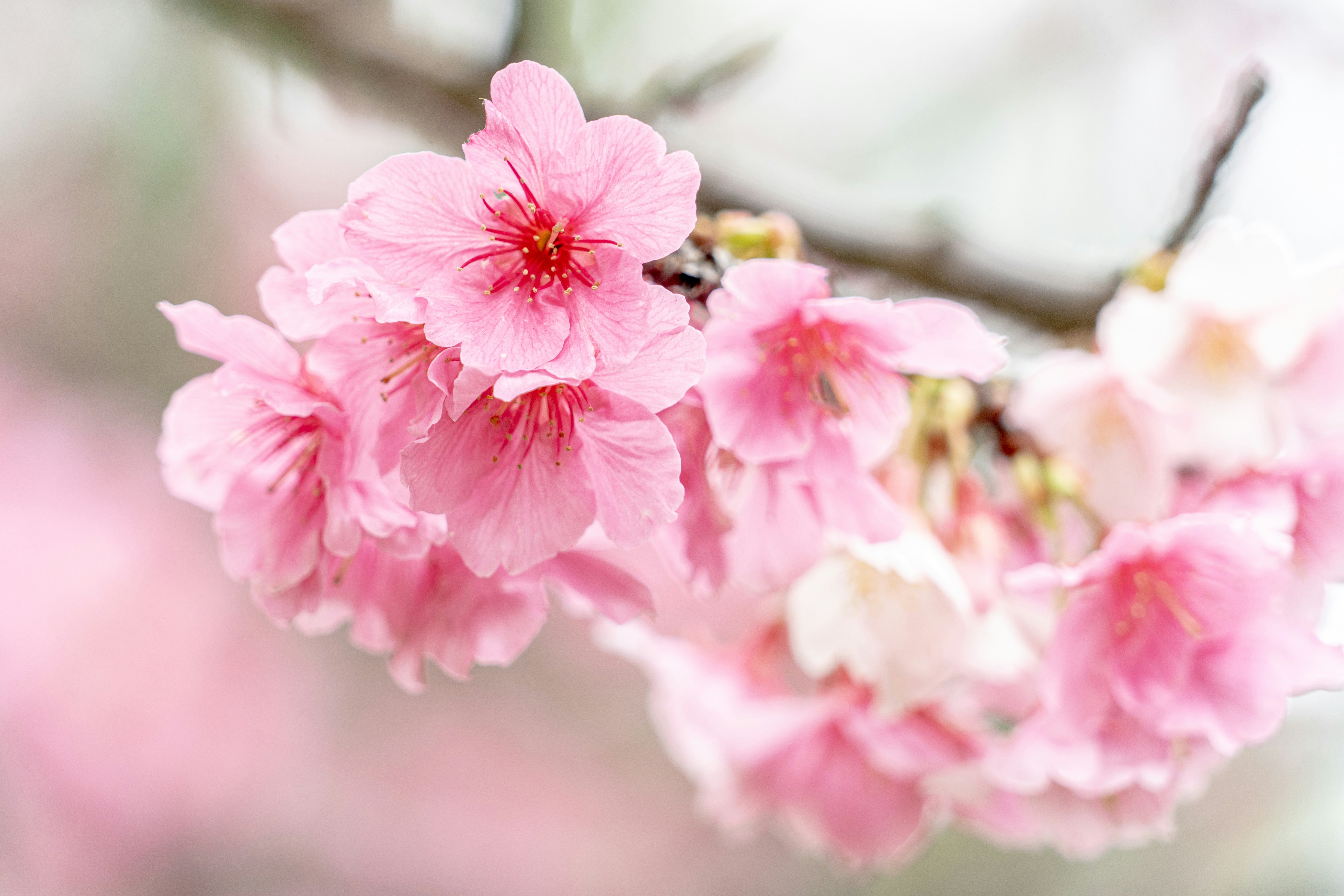 Photo by winstonchen