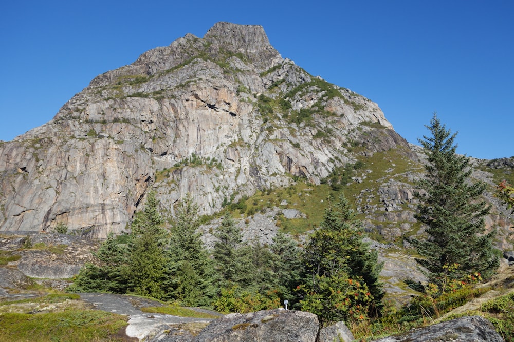 a large mountain with a few trees in the foreground