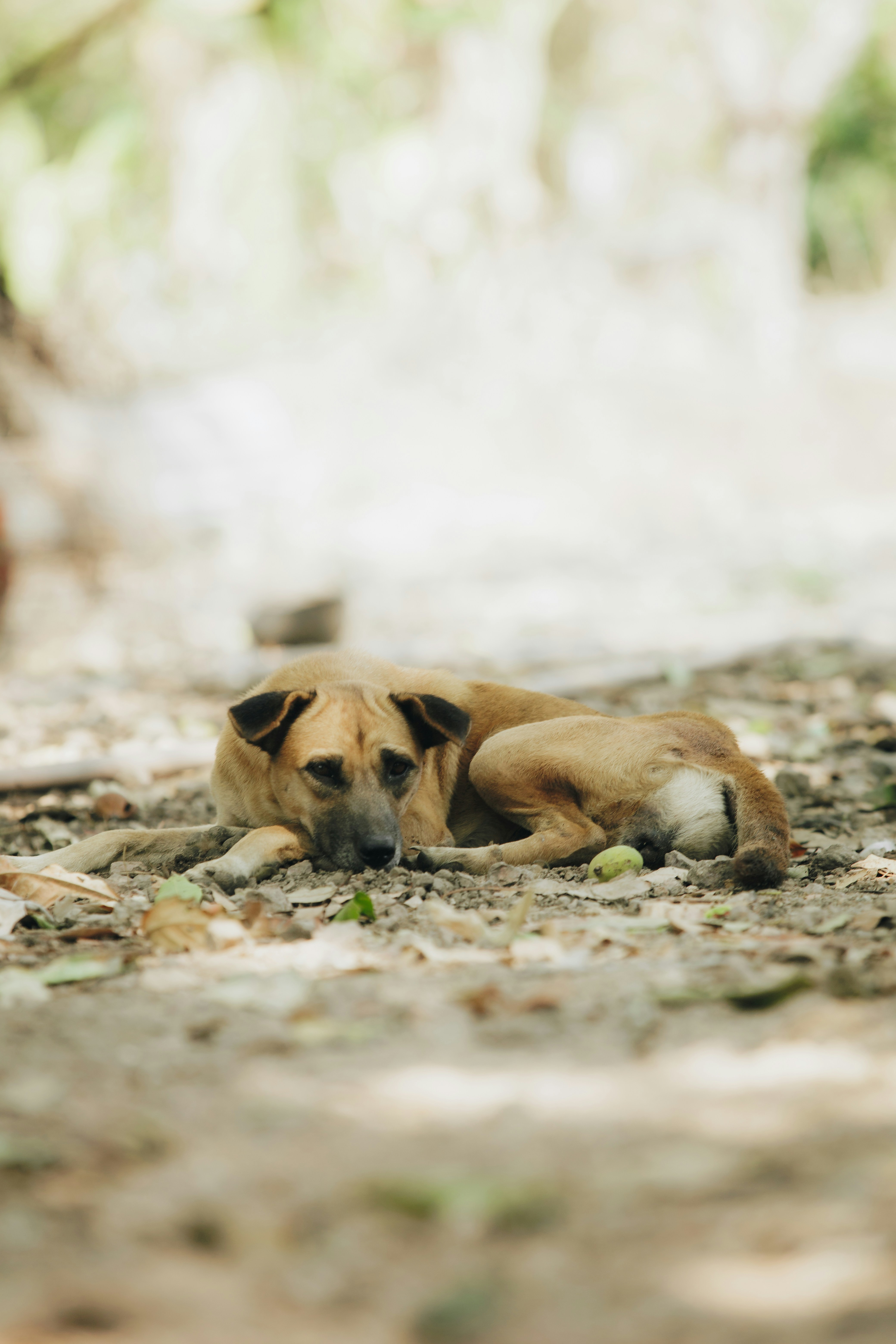 Photo by chuchu123456