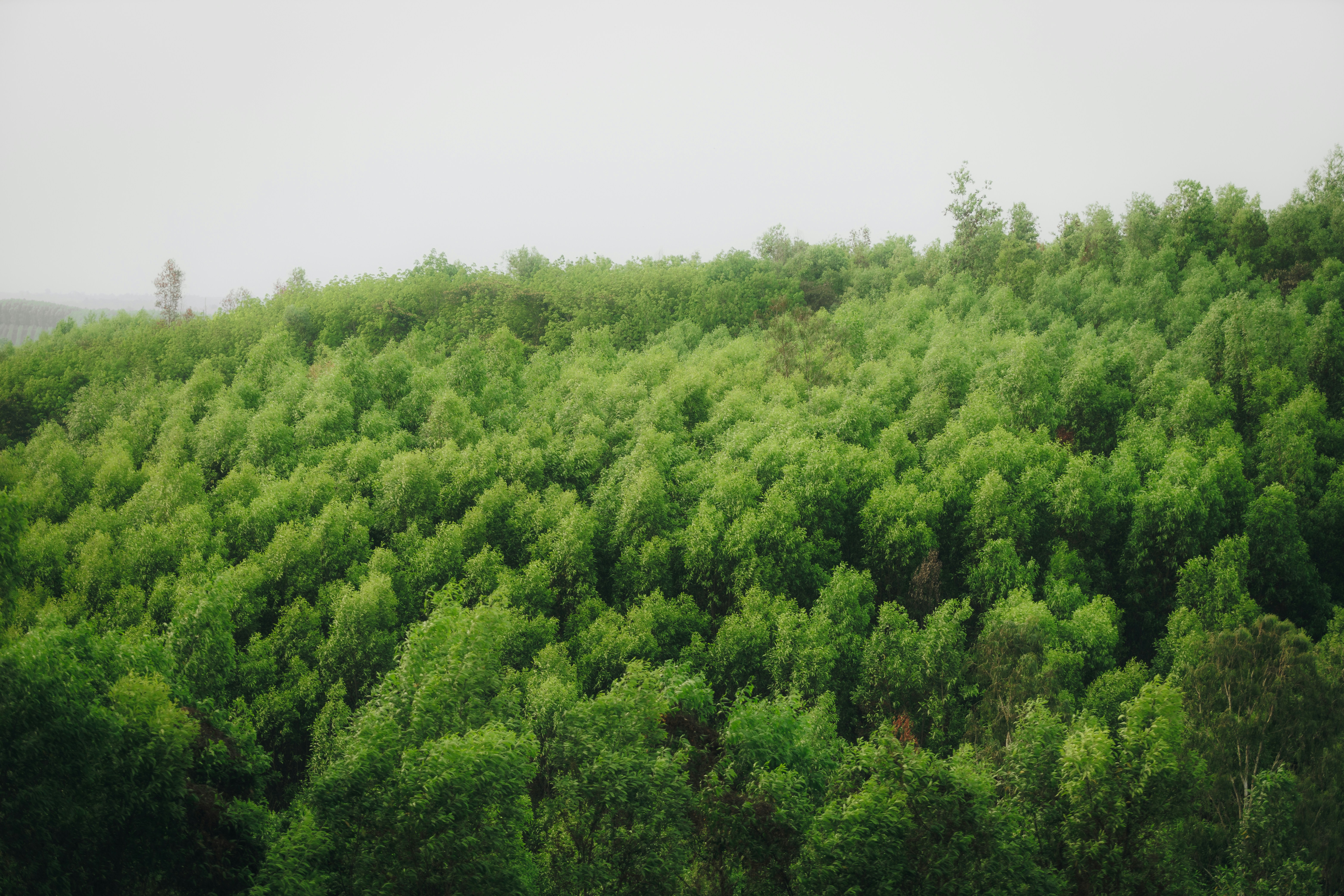 Photo by chuchu123456