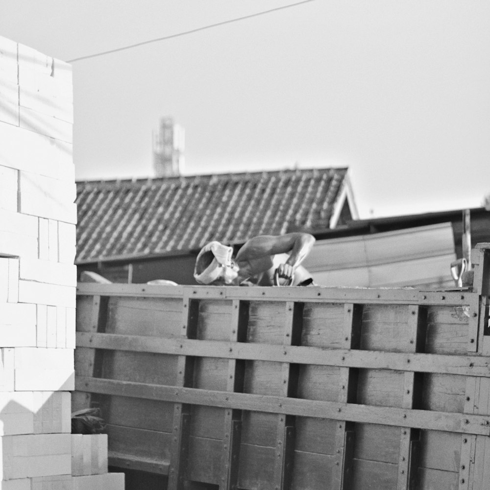 a black and white photo of a dog on a fence