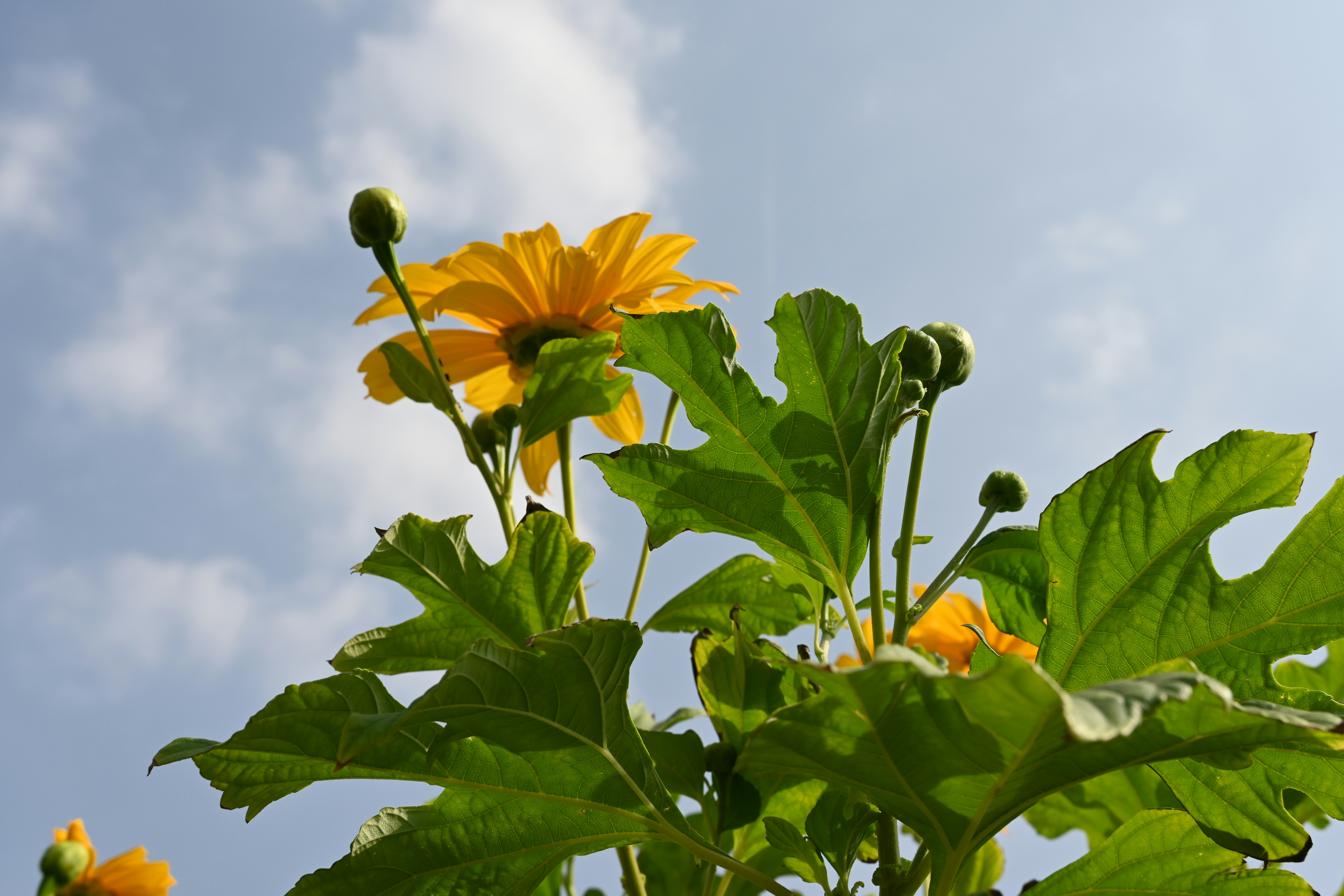 Photo by aravind_shivkumar