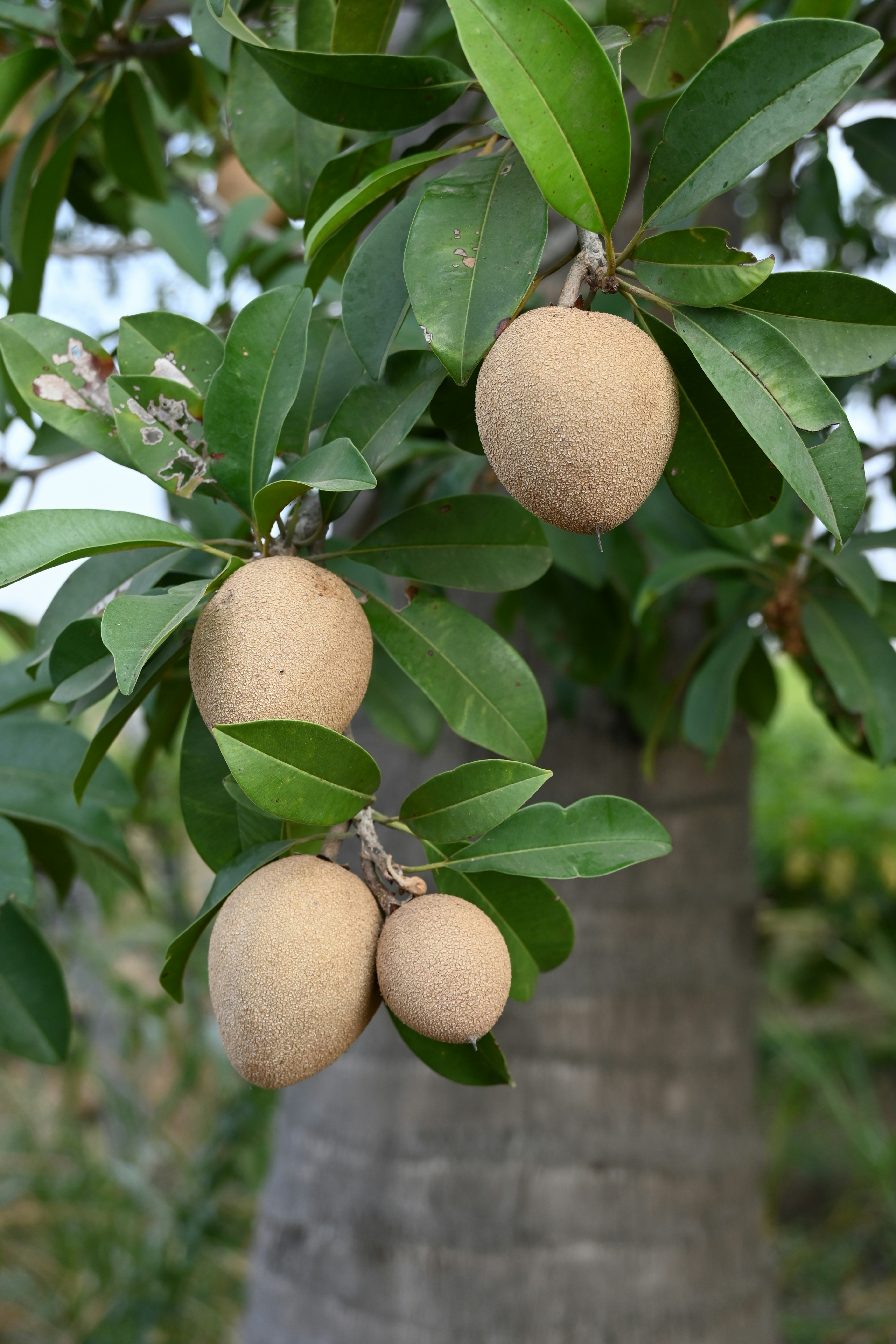 Photo by aravind_shivkumar