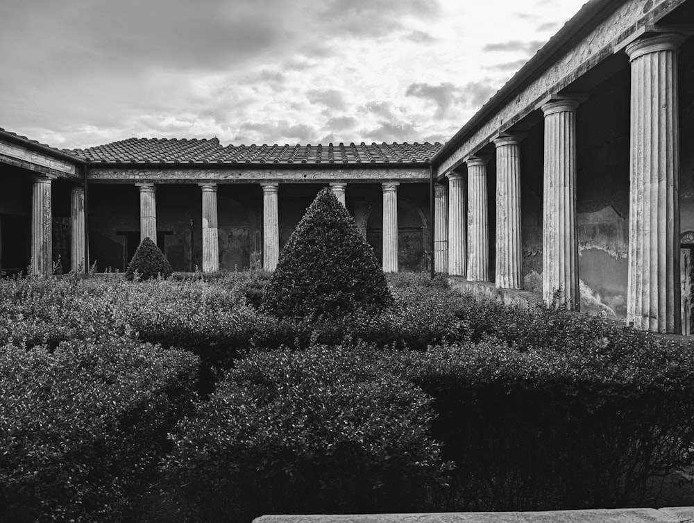 a black and white photo of a courtyard