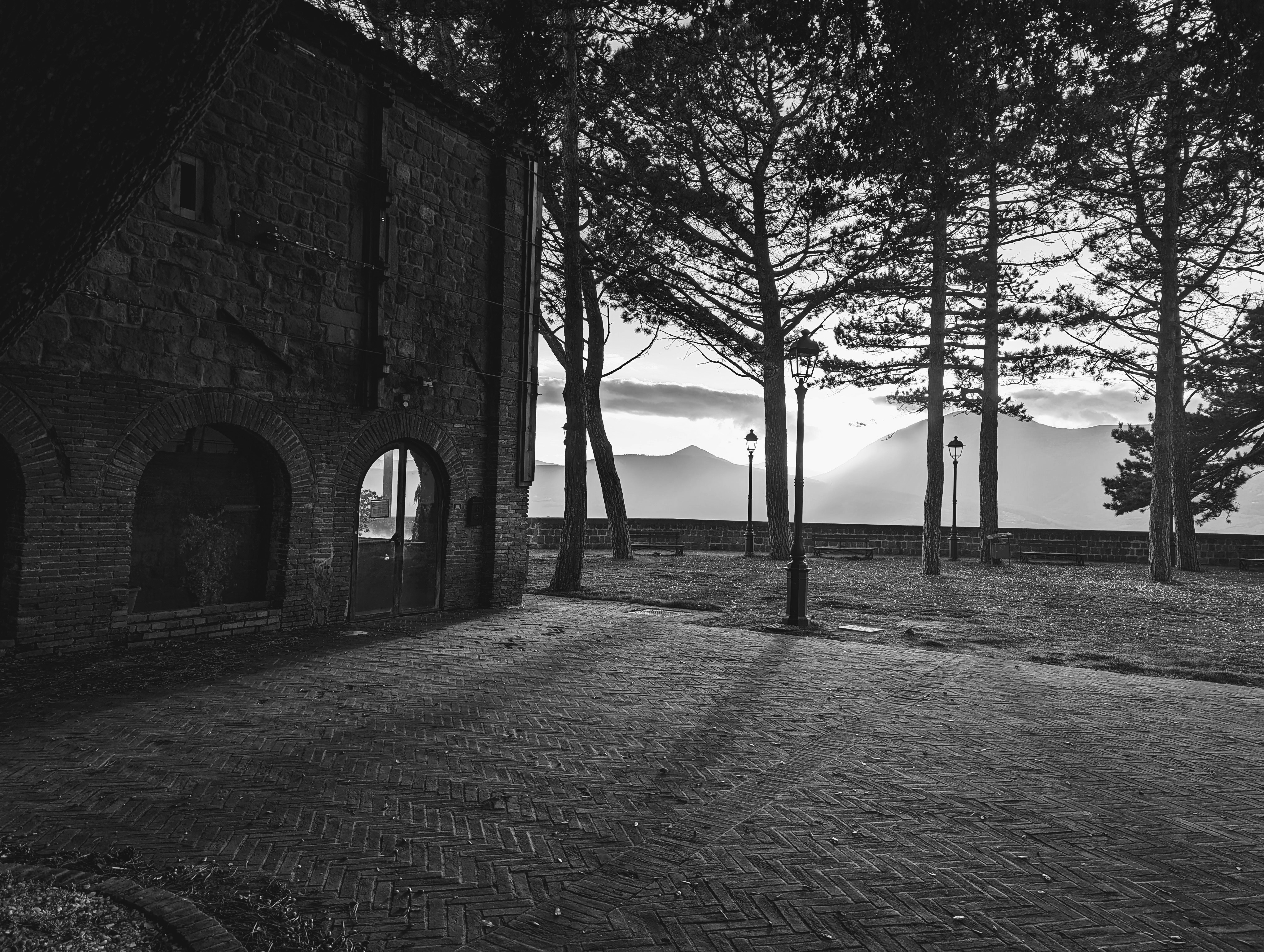 a black and white photo of a house in the woods