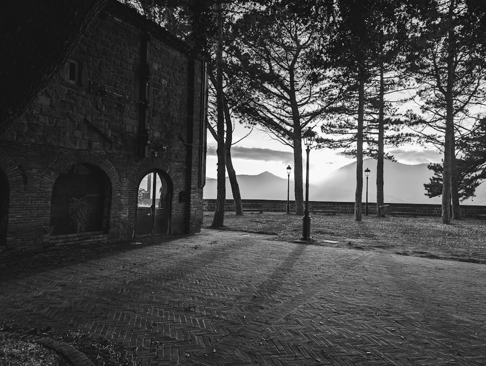 a black and white photo of a house in the woods