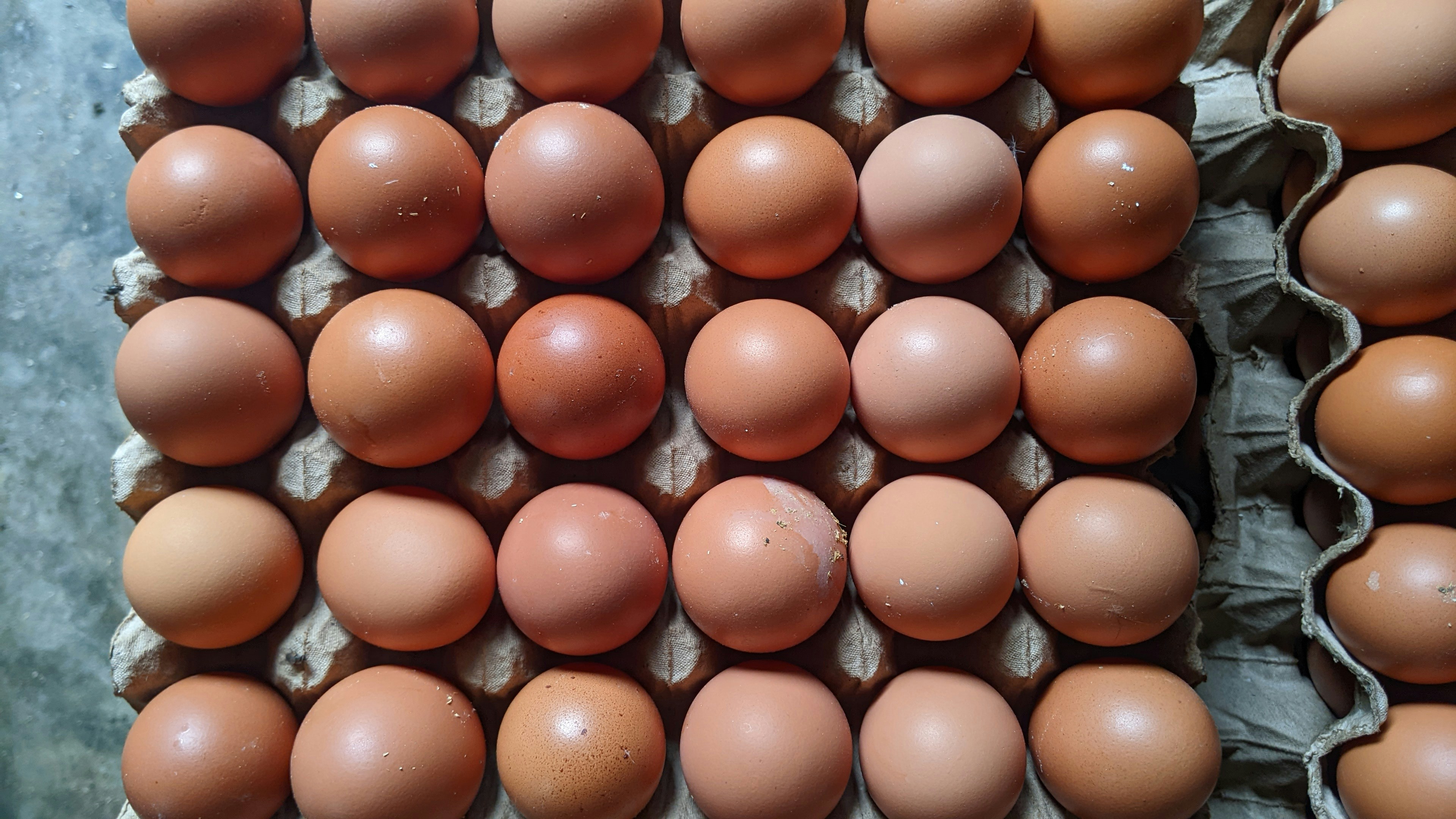 Brown eggs arranged in a cardboard carton on light surface