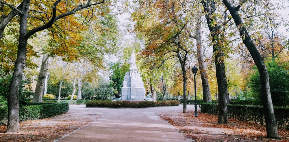 a walkway in a park lined with trees