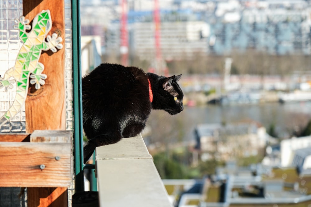 a black cat sitting on top of a window sill