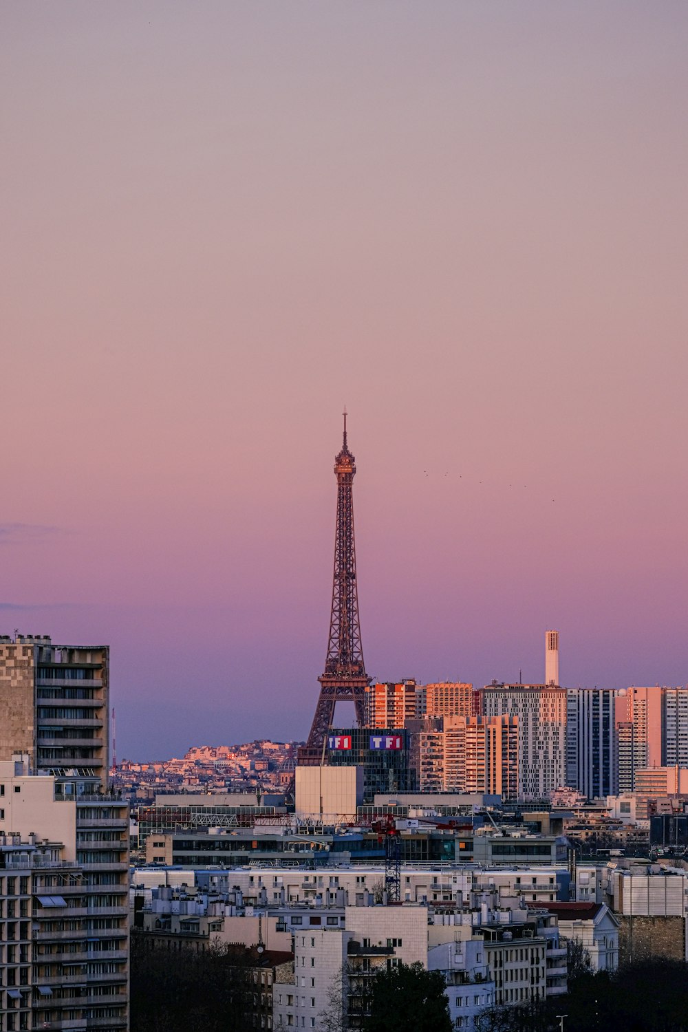 the eiffel tower towering over the city of paris