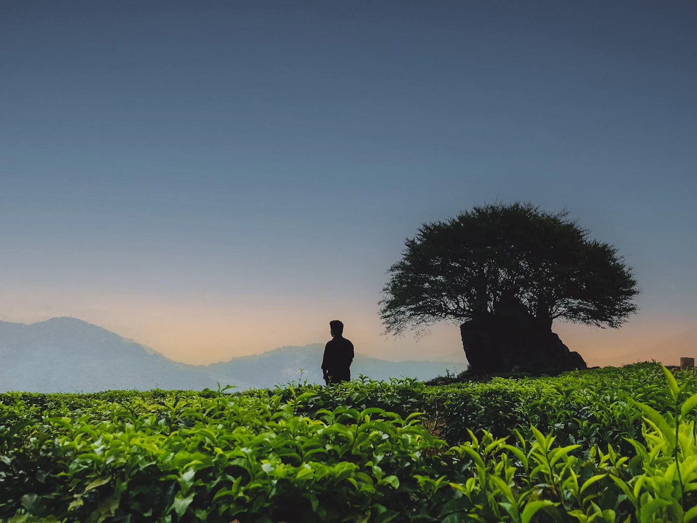 Ponmudi