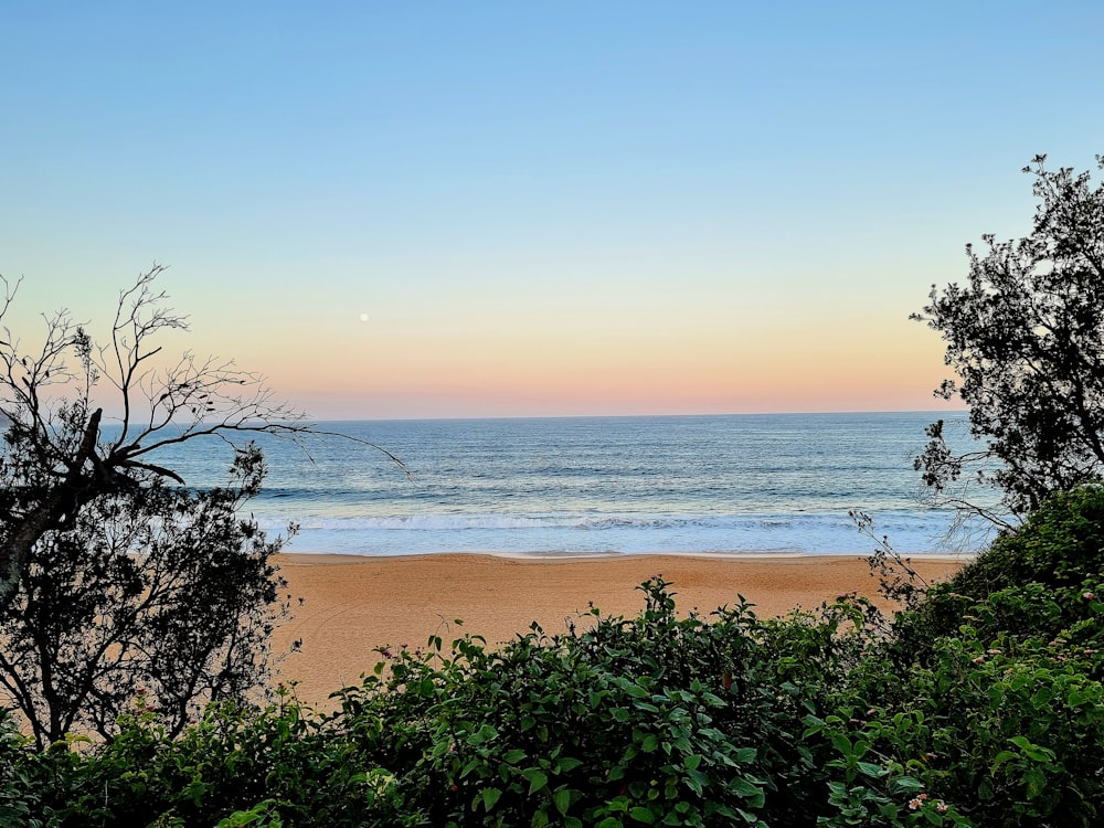 Una vista del océano desde una playa al atardecer