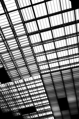 a black and white photo of a ceiling