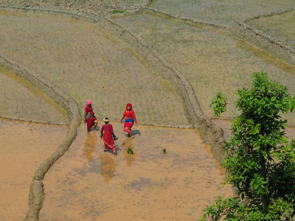 a group of people walking across a muddy field