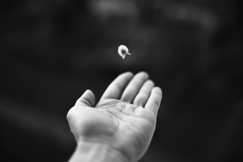 a hand holding a tiny white object in it's palm