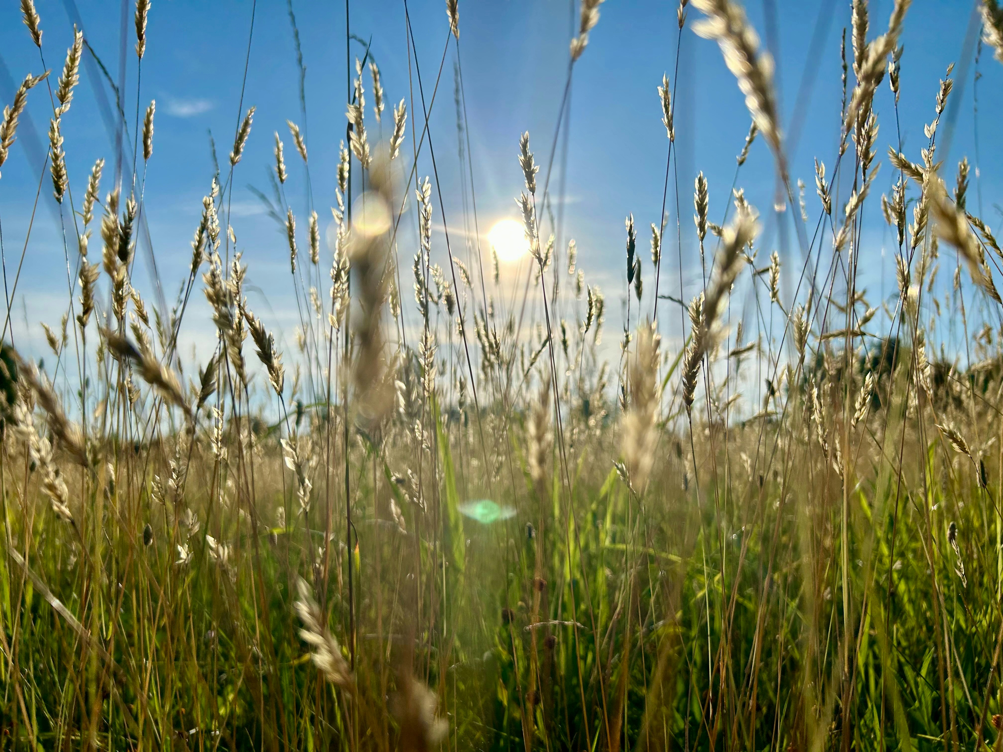 Photo by lukeprevette