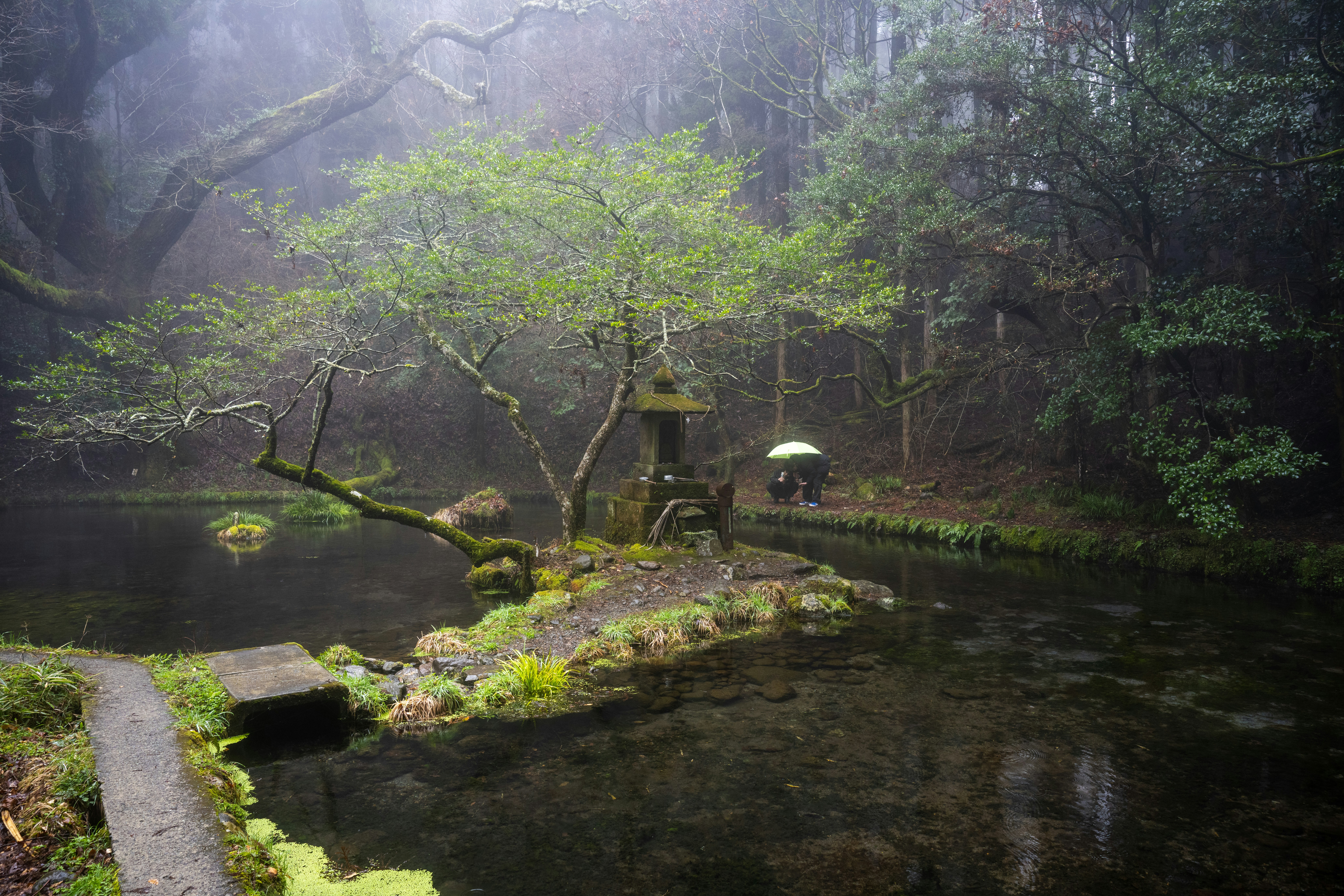Tranquil Art in Japanese Nature