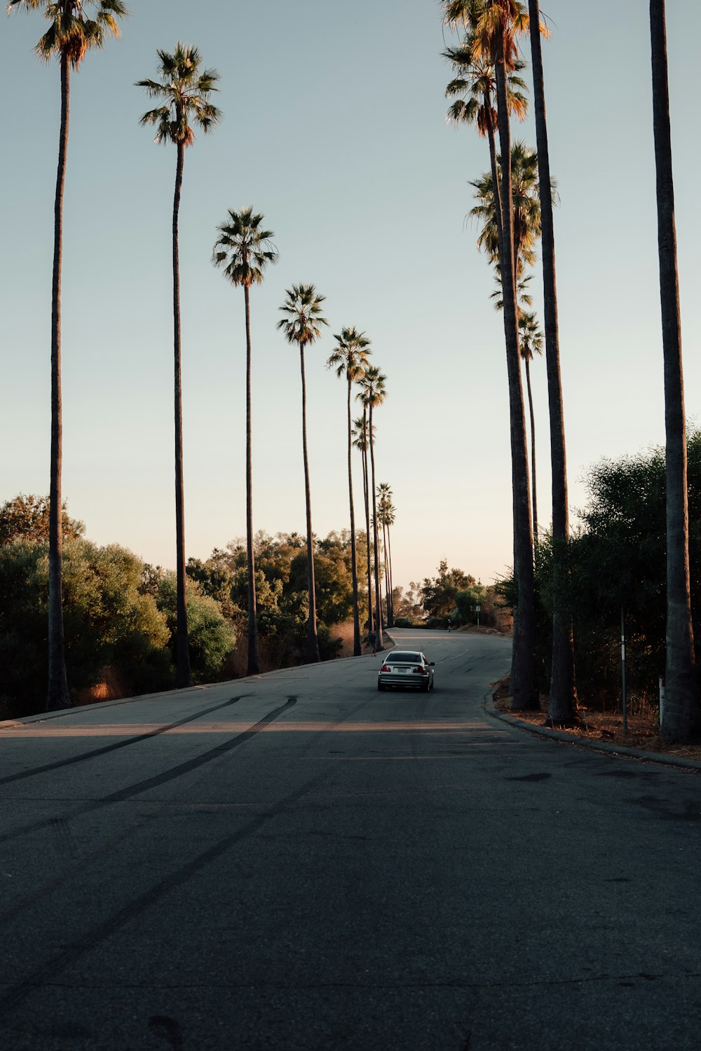 a car driving down a street lined with palm trees