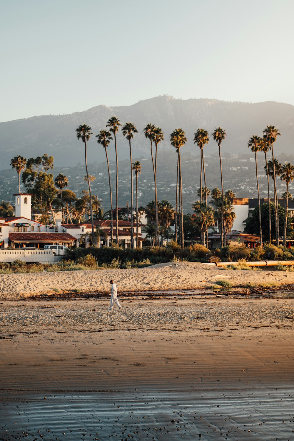 a person walking on a beach with palm trees in the background