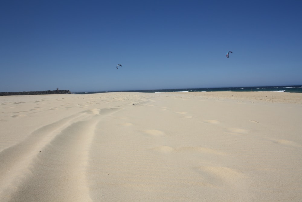 una spiaggia sabbiosa con impronte nella sabbia