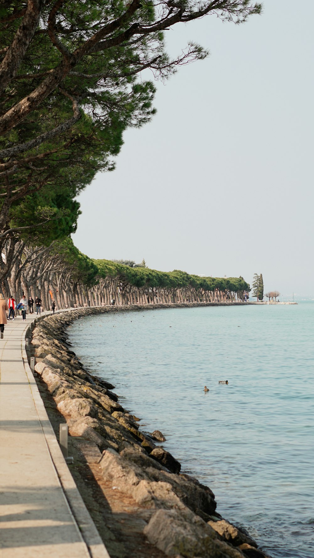 a group of people walking down a sidewalk next to a body of water