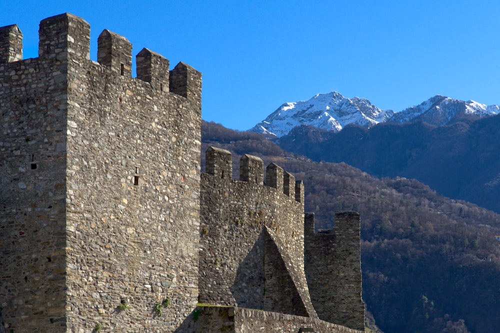 a castle with mountains in the background