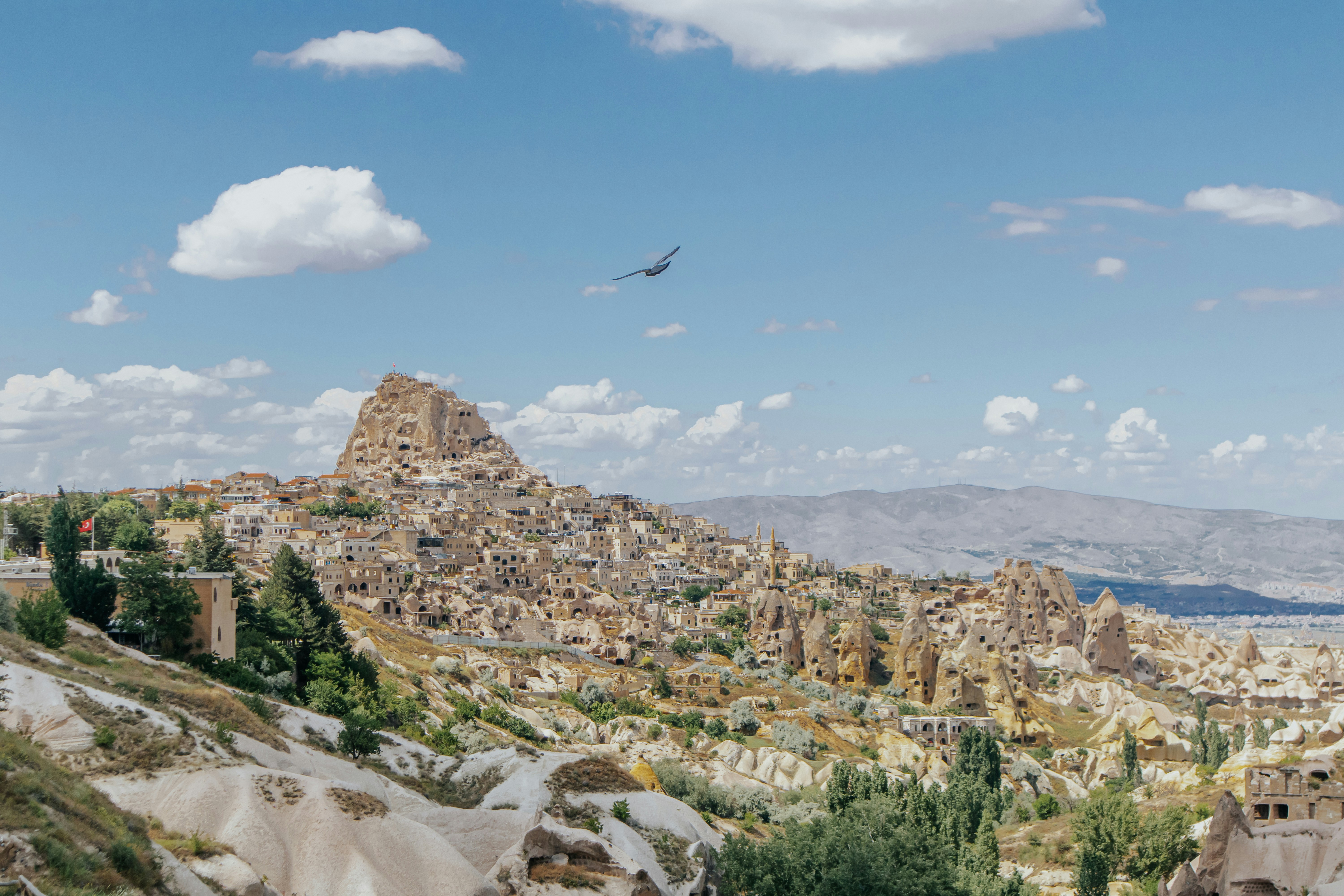 Photo by pedralexpereira