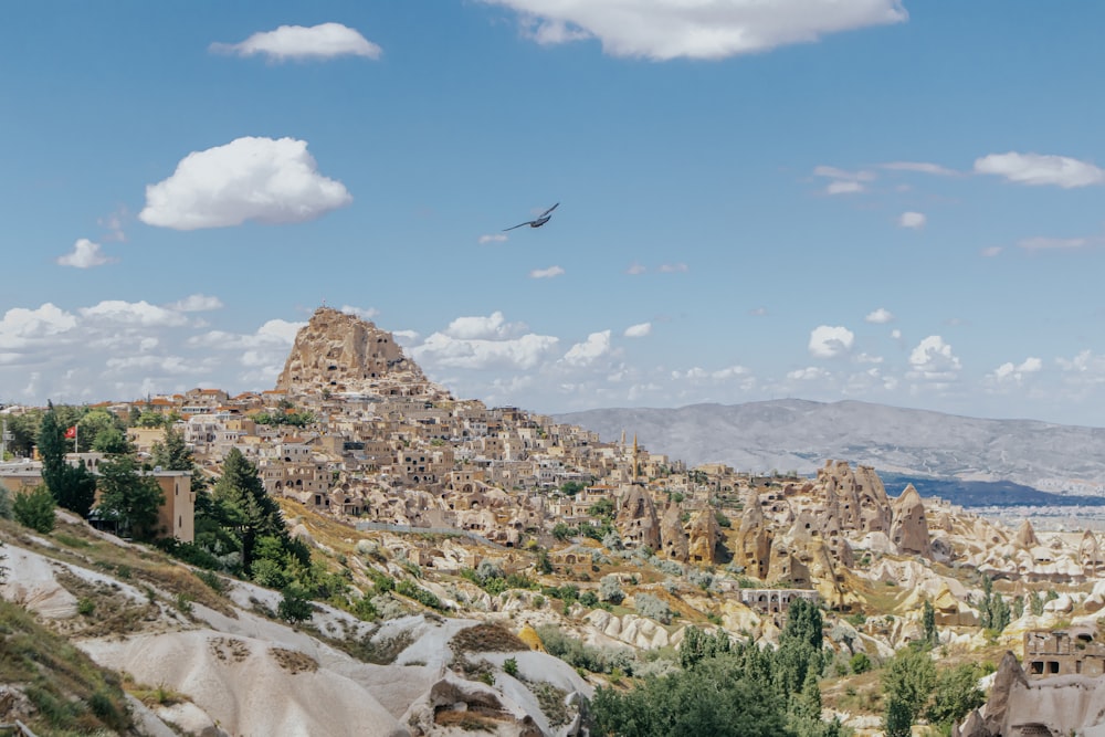 a bird flying over a rocky landscape with a mountain in the background