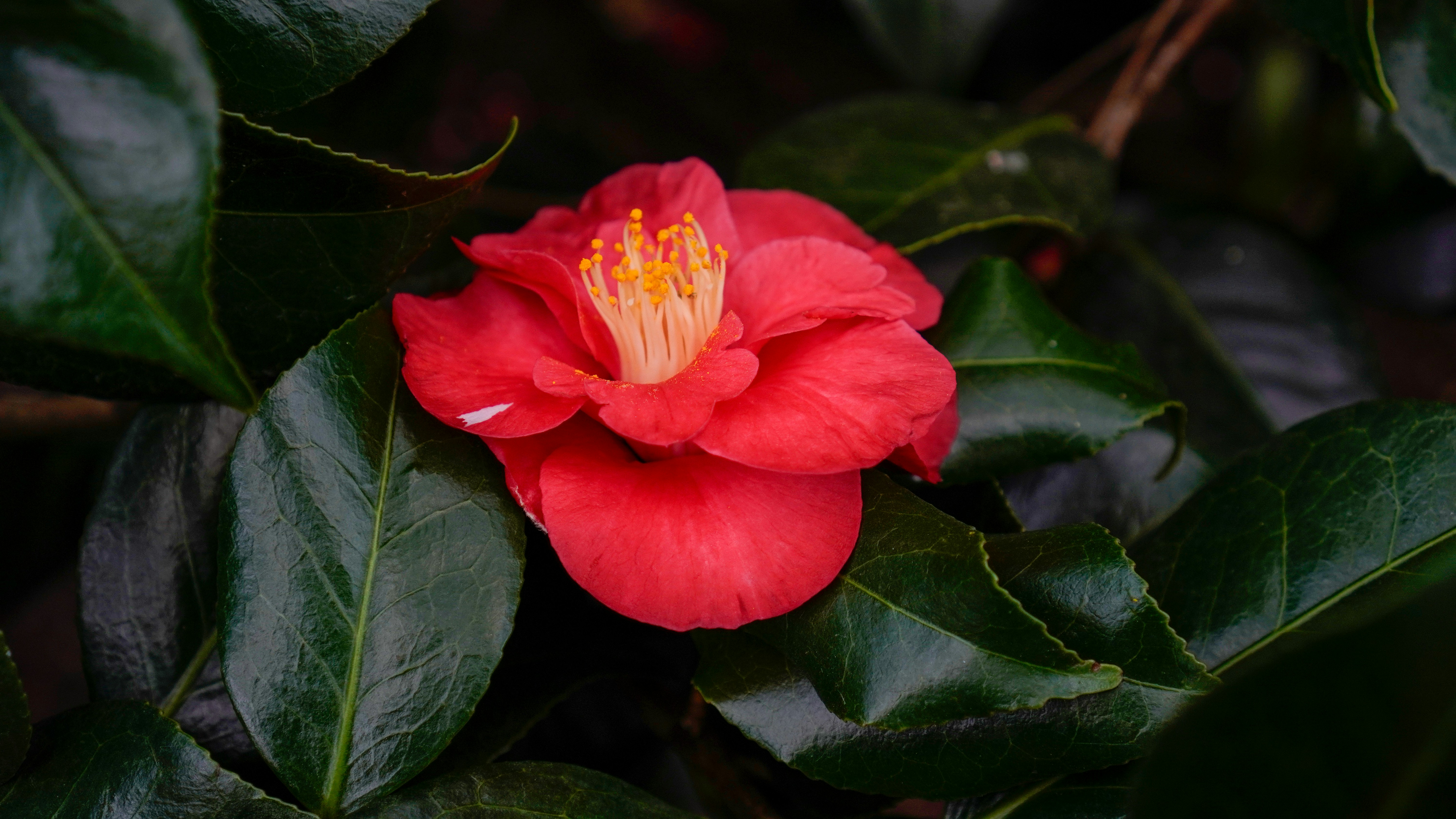 Photo by nataliagasiorowska