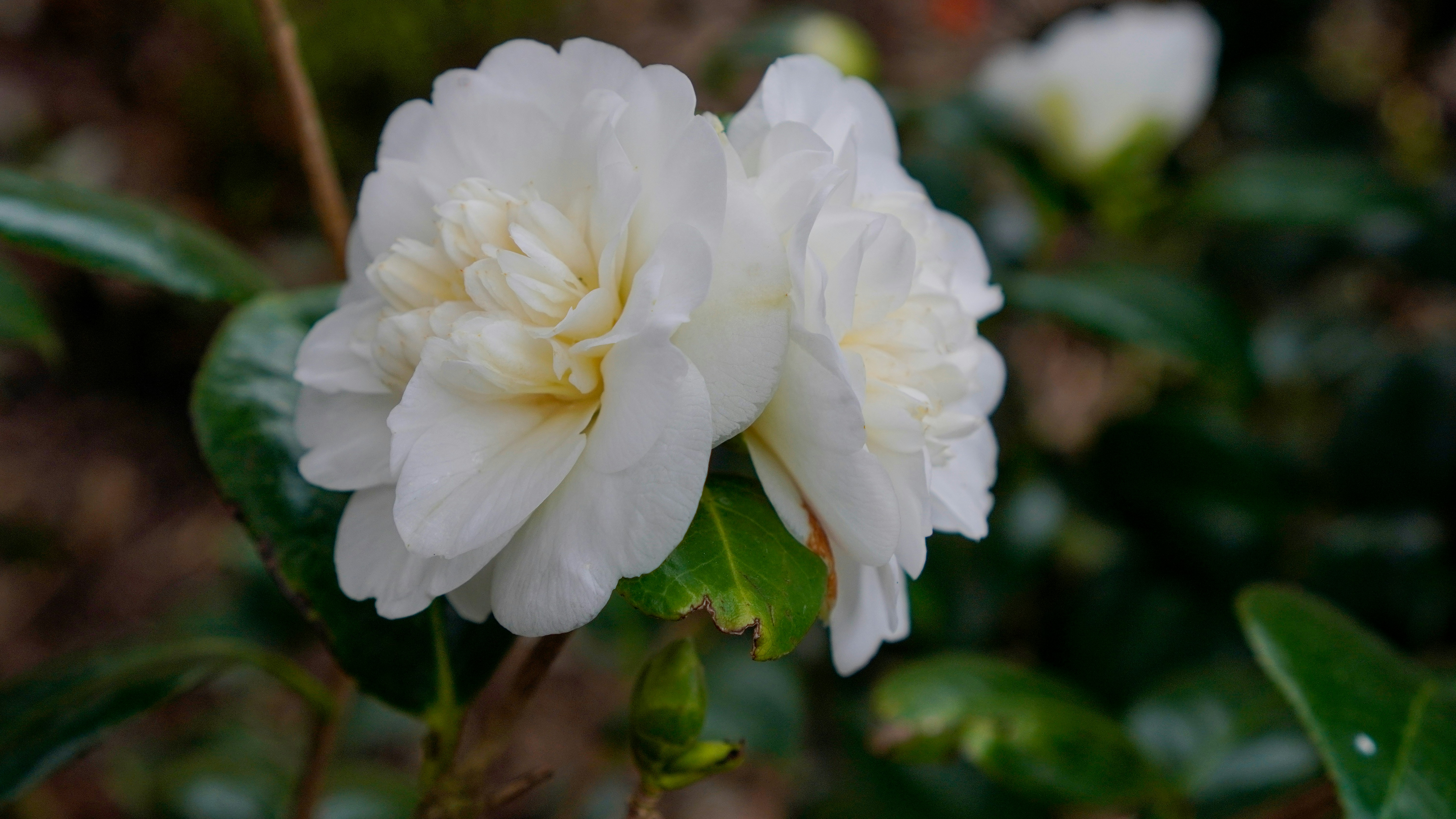 Photo by nataliagasiorowska