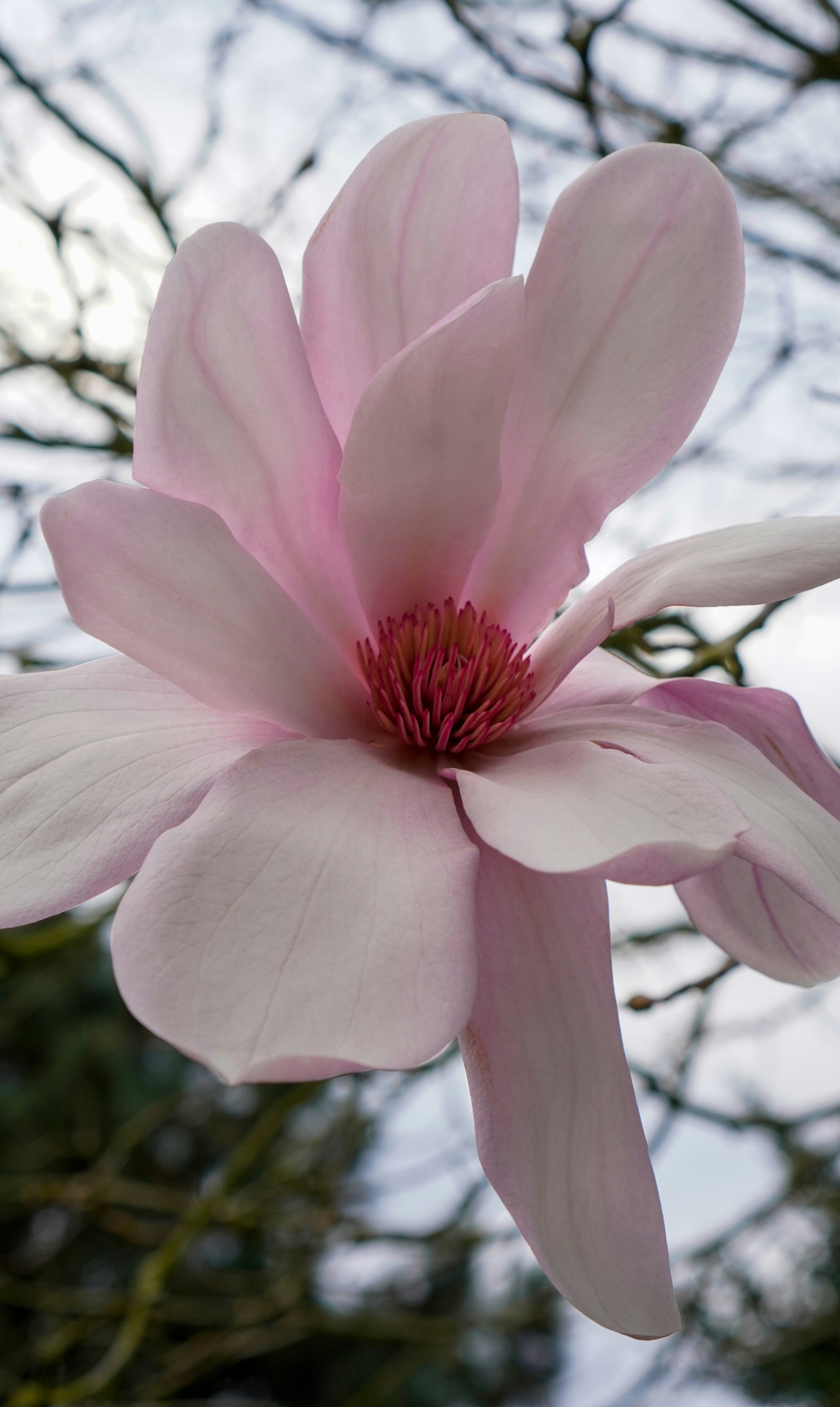 Photo by nataliagasiorowska