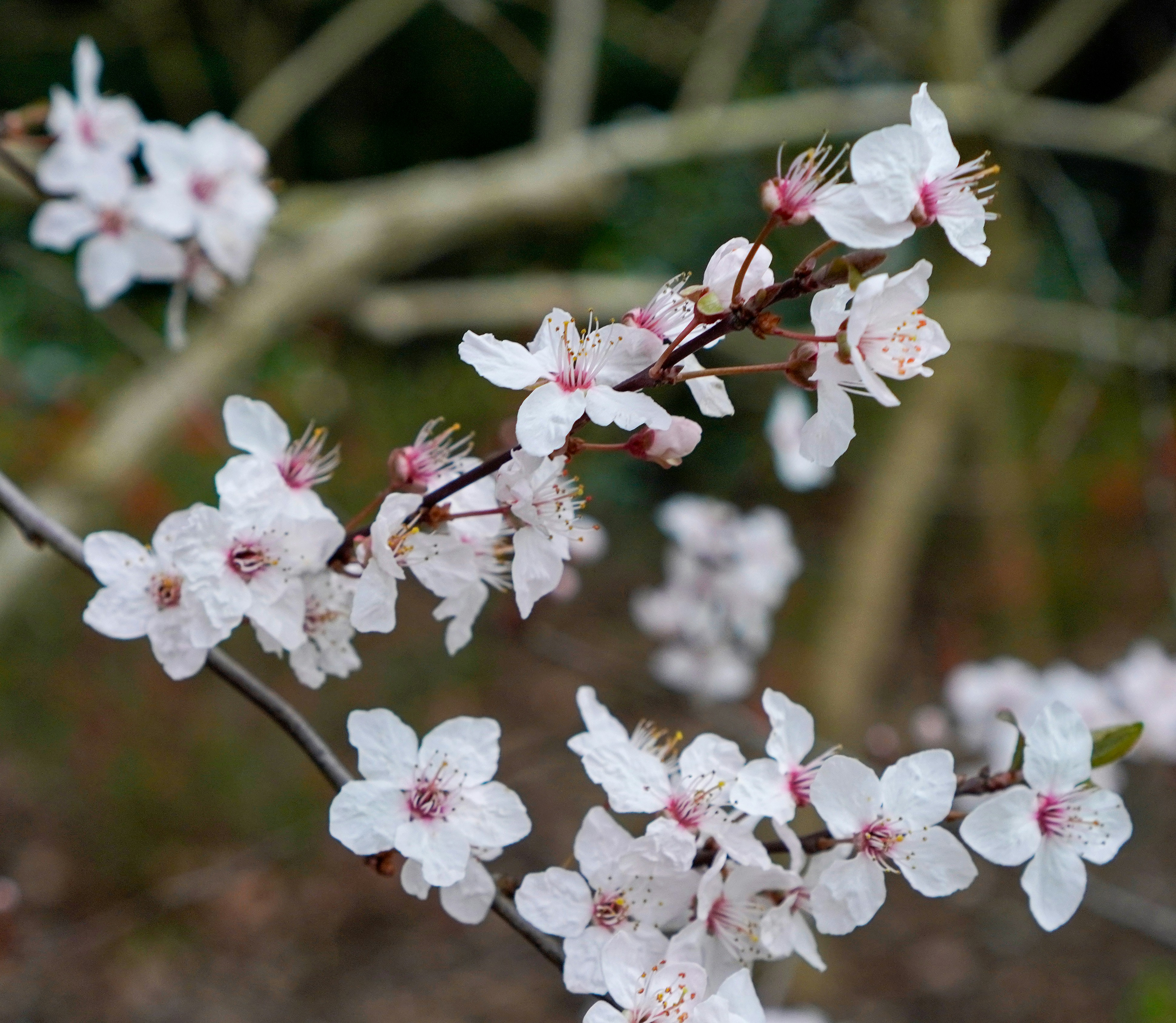 Photo by nataliagasiorowska