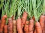 a bunch of carrots are stacked up together