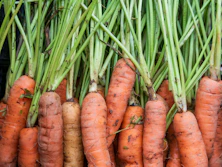 a bunch of carrots are stacked up together