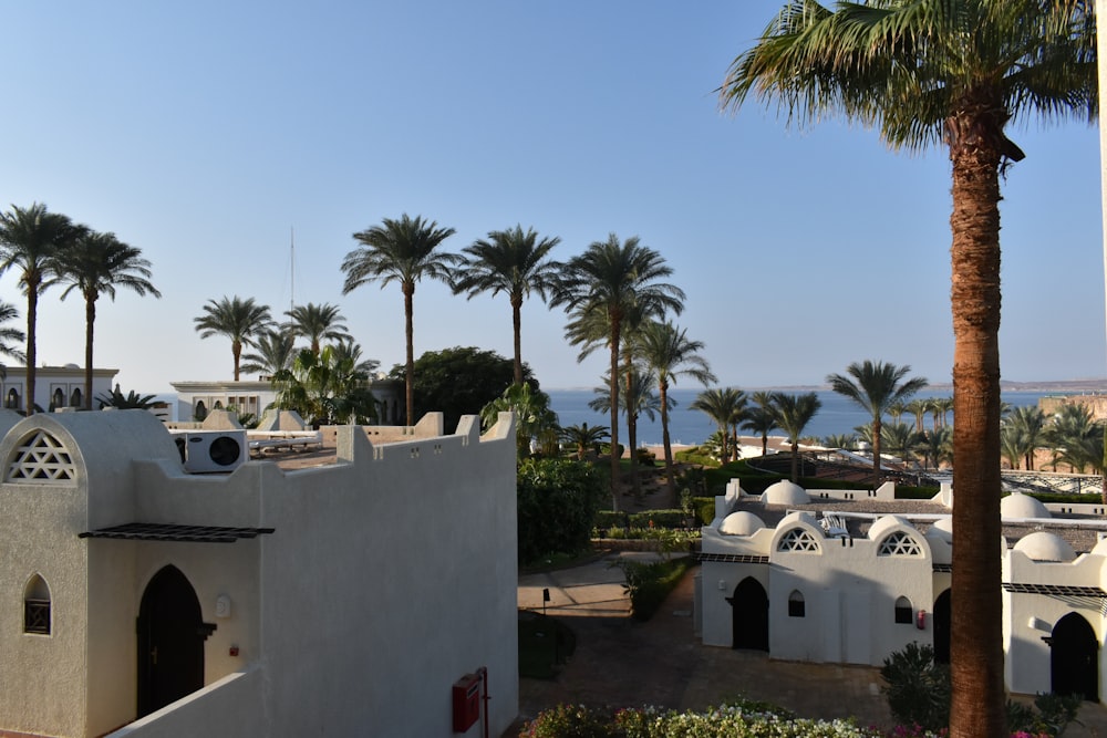 a view of a resort with palm trees and the ocean in the background