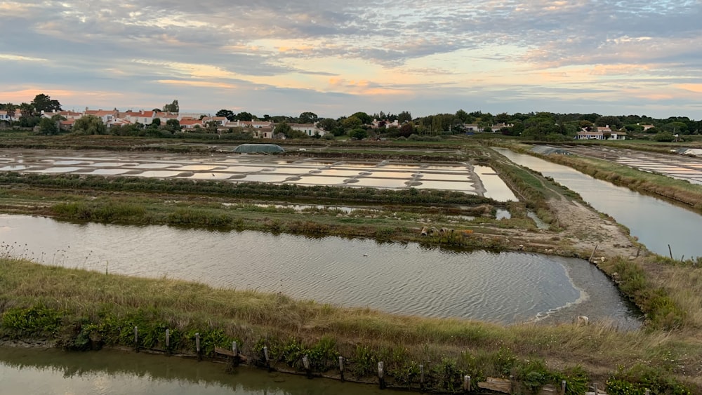 una gran masa de agua junto a un exuberante campo verde