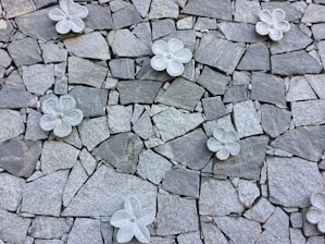 a bunch of flowers that are on some rocks