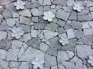 a bunch of flowers that are on some rocks