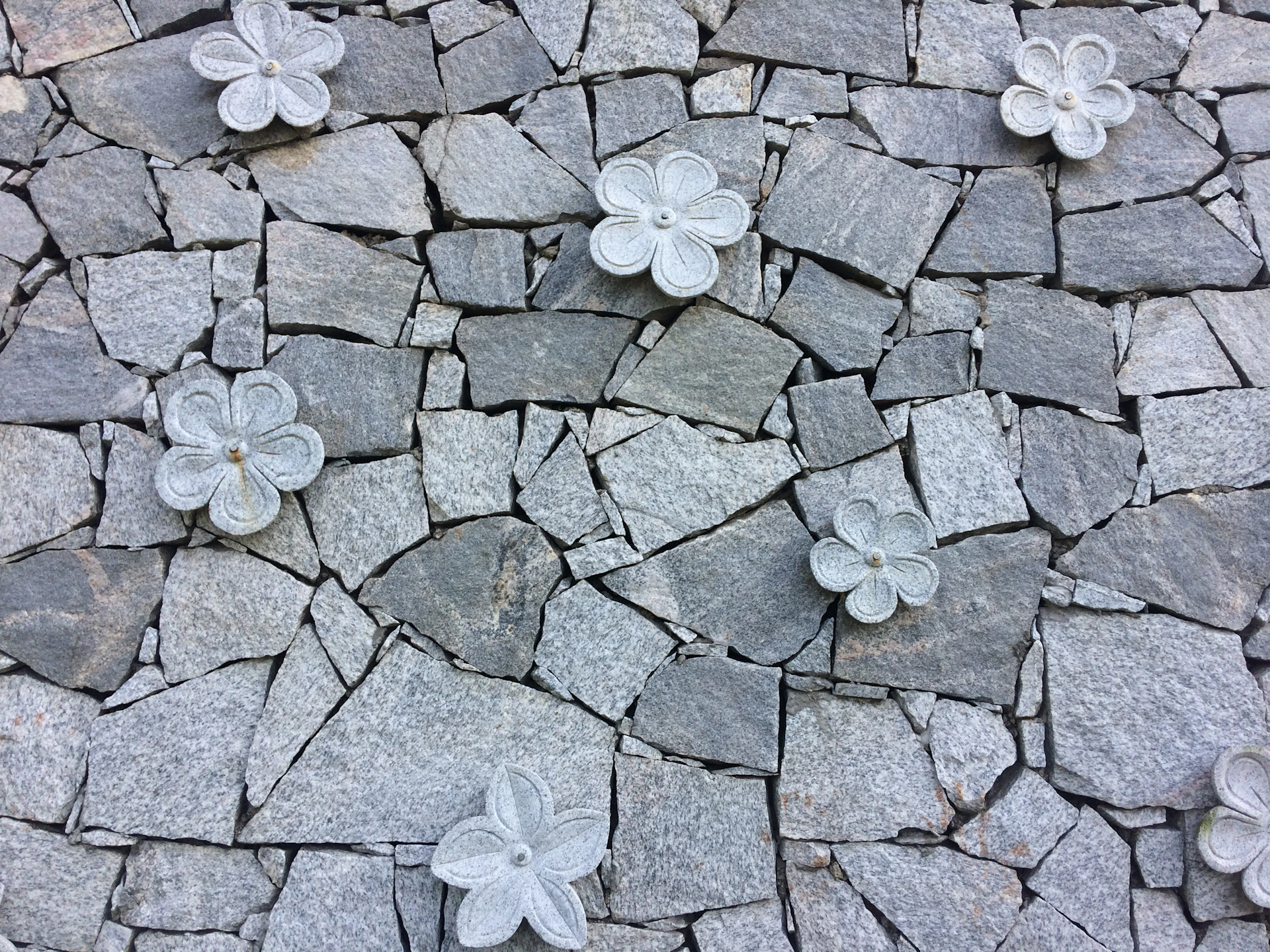 a bunch of flowers that are on some rocks