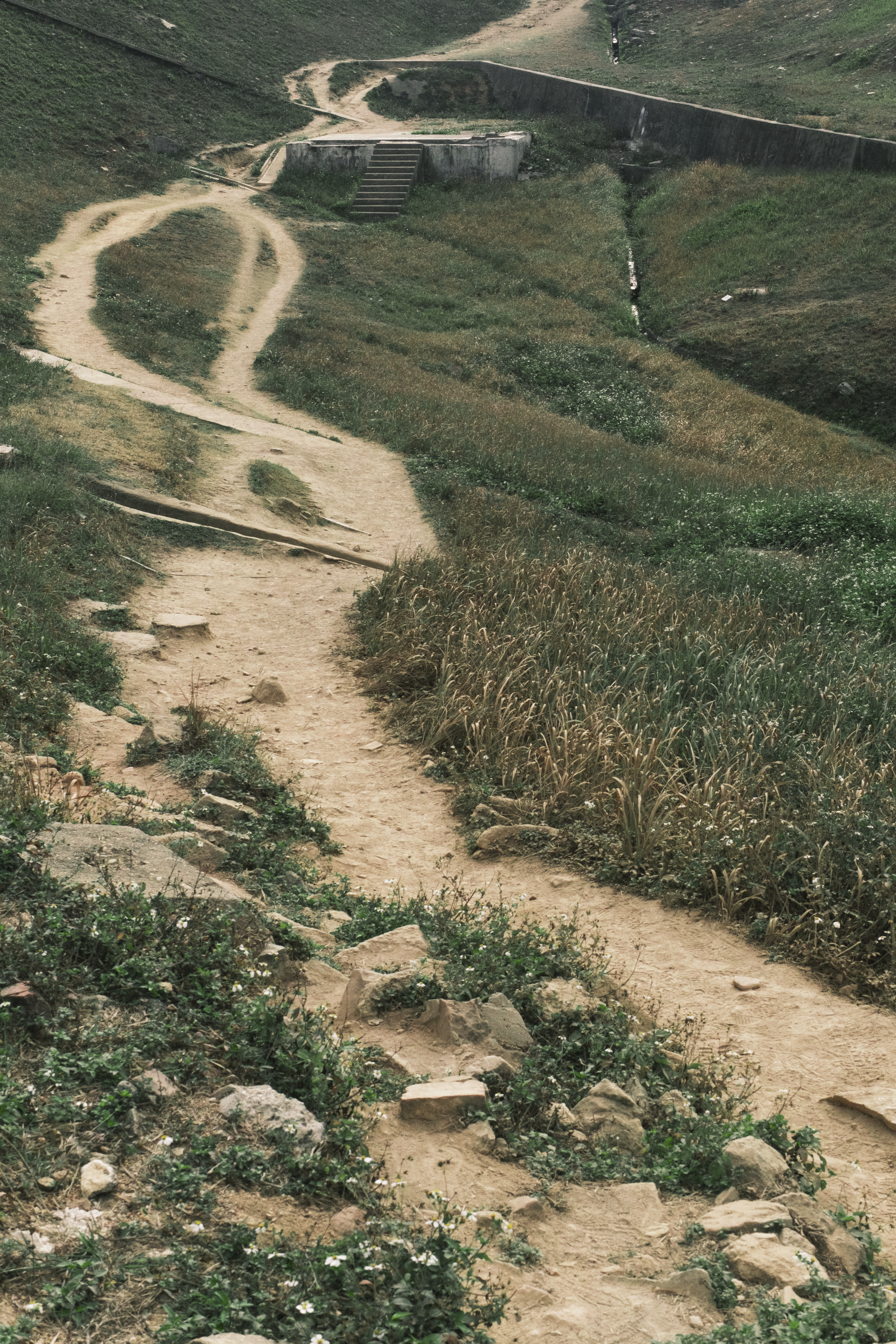 jalan tanah di tengah ladang berumput