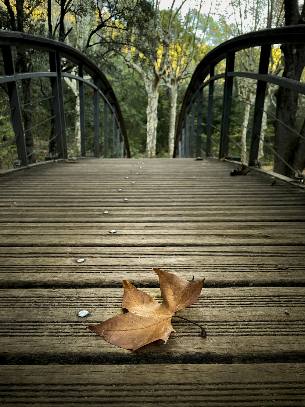 a leaf is laying on a wooden bridge