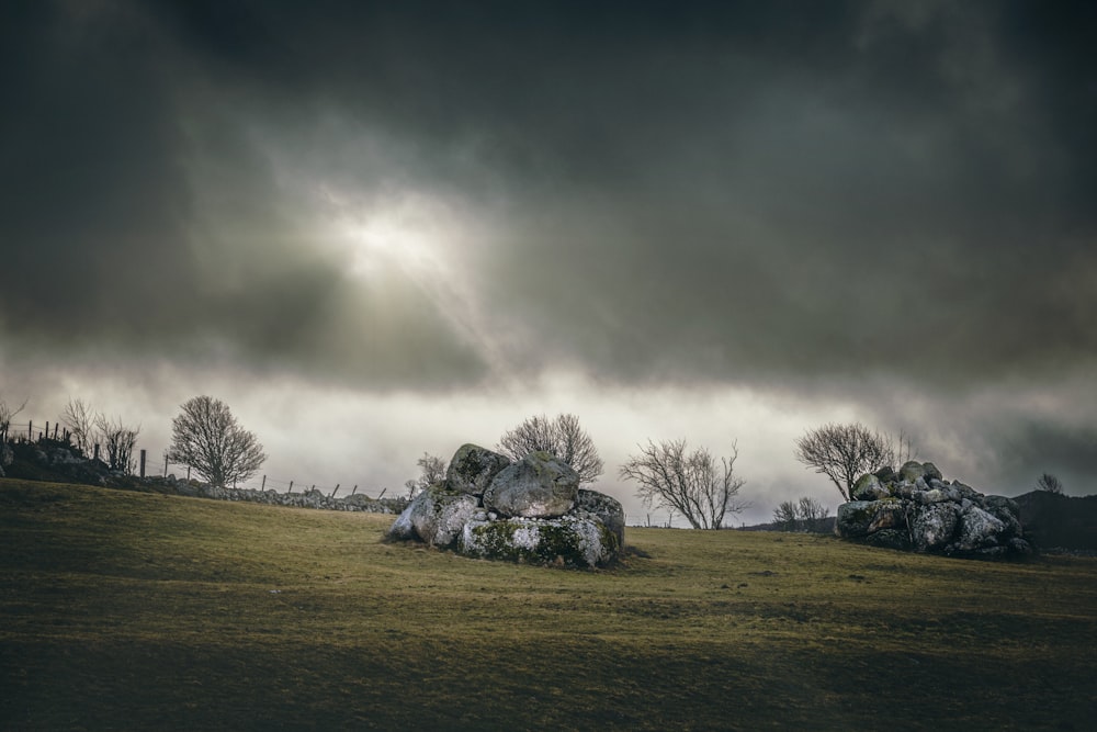 a group of rocks sitting on top of a lush green field