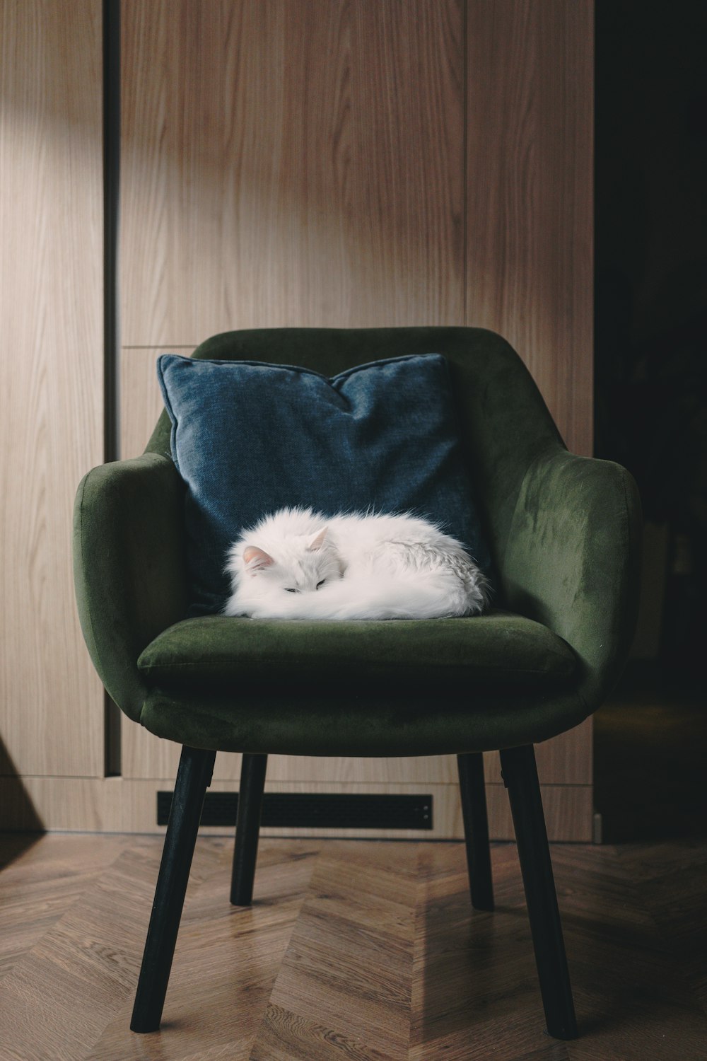 a white cat sleeping on top of a green chair