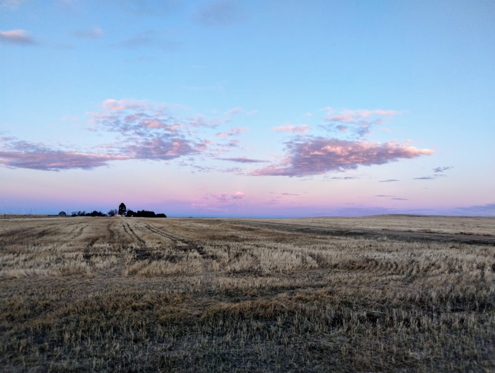 a large field with a sky in the background