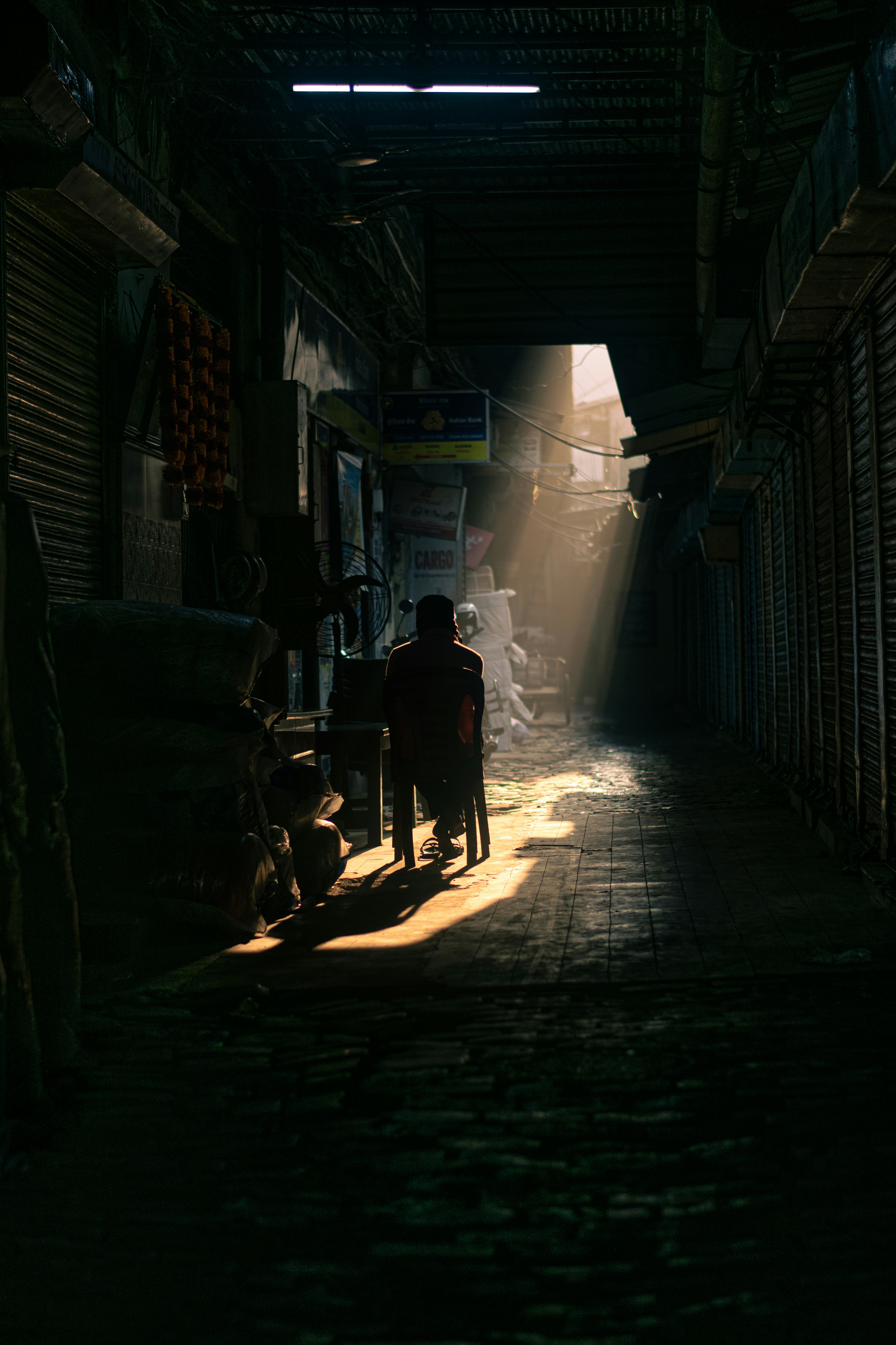 Photo by fly_debasish