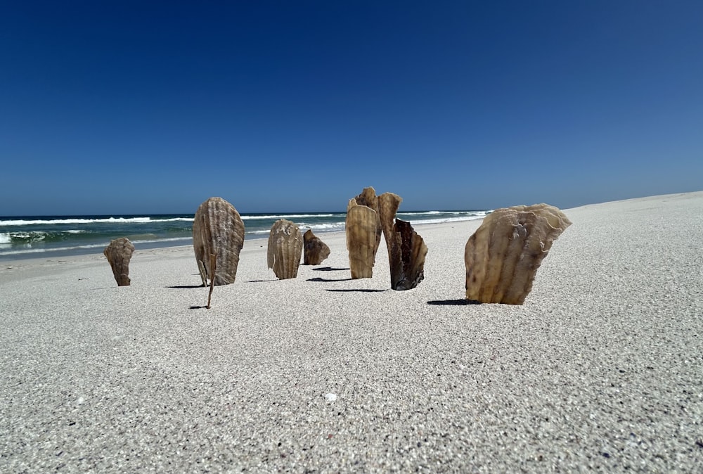 a group of rocks sitting on top of a sandy beach