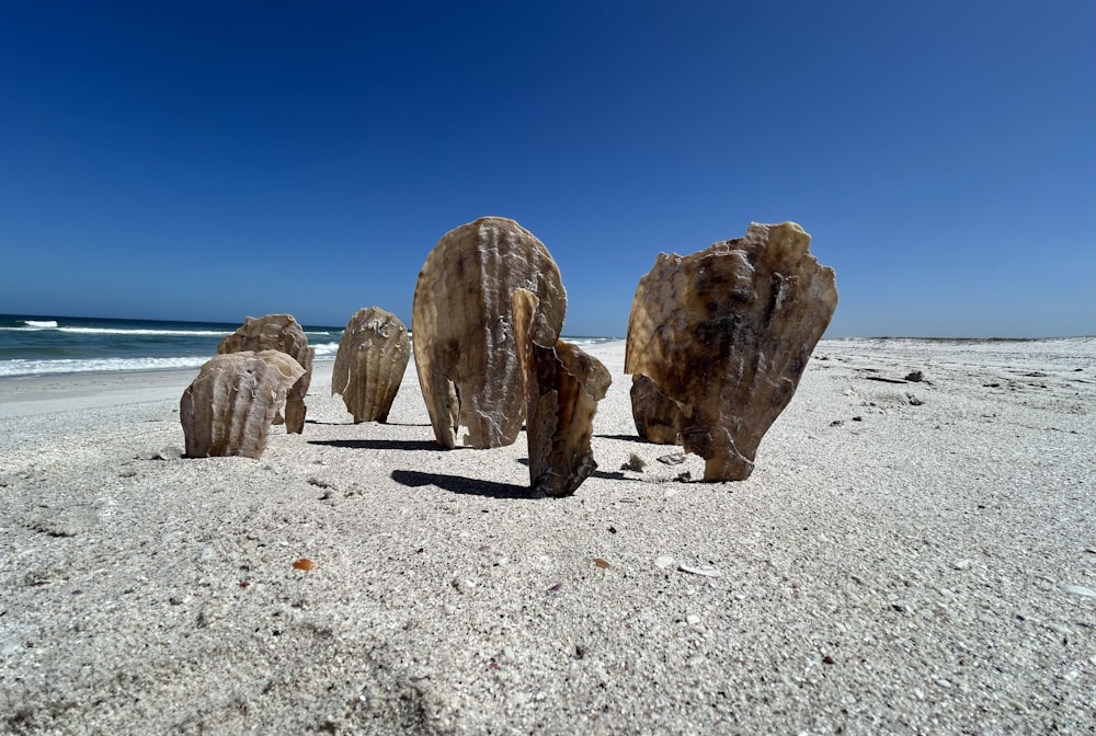 a group of rocks sitting on top of a sandy beach
